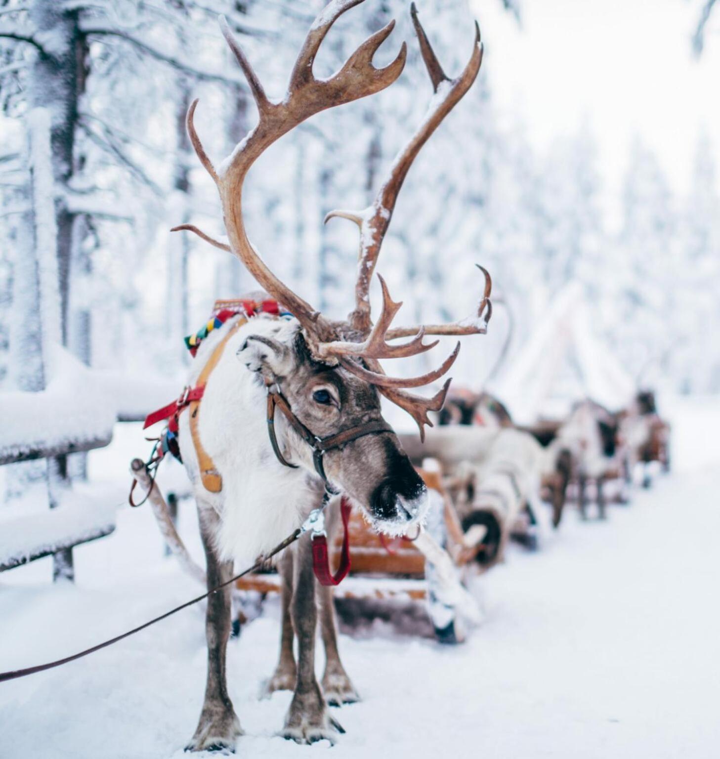 Rovaniemi Studio 32 Muurola エクステリア 写真